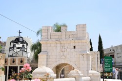 Sheep1389 
Annunciation Orthodox church in Nazareth 2023 
2024-10-27 14:51:51