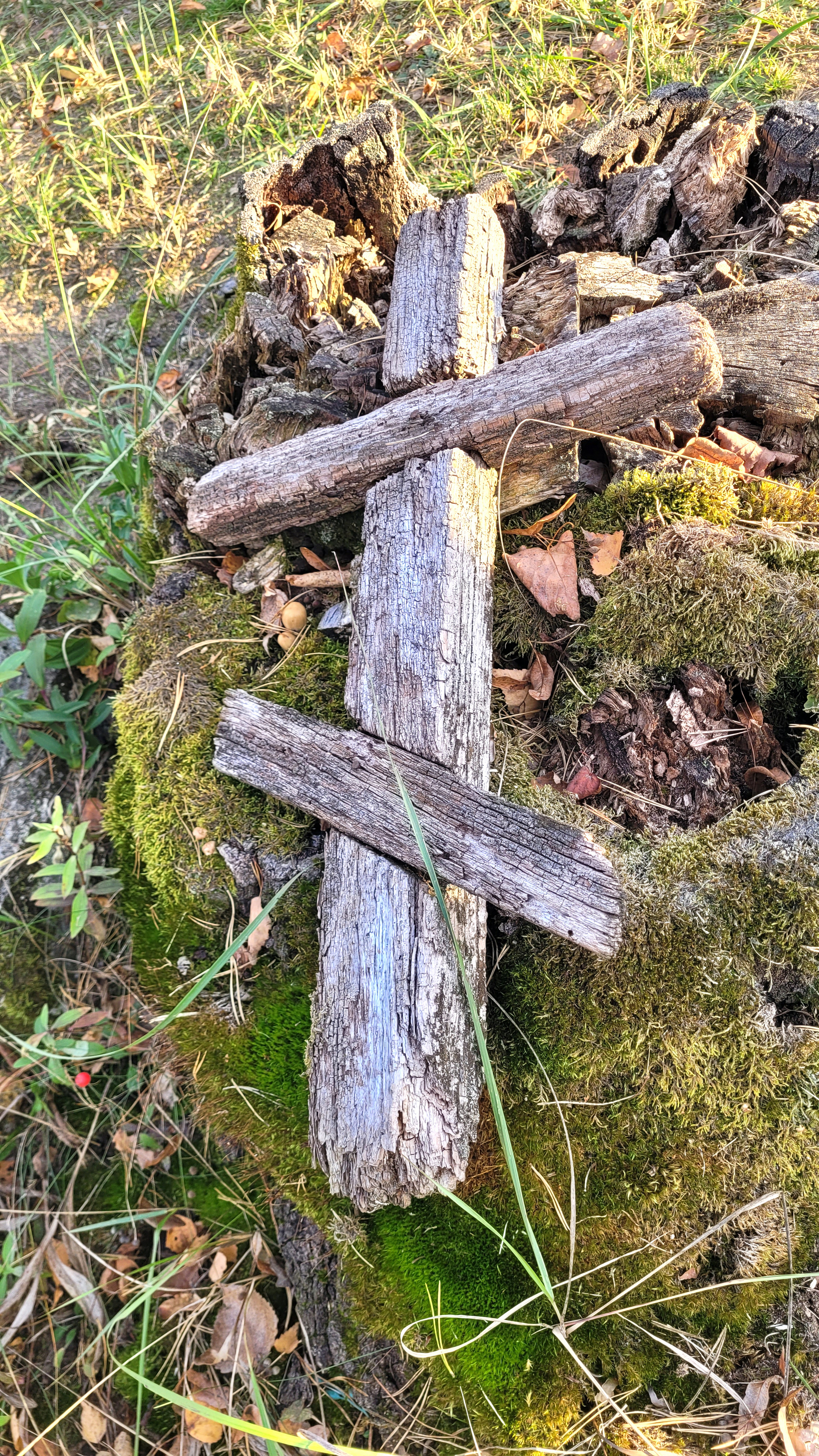 At the Orthodox cementary in Zabłudów