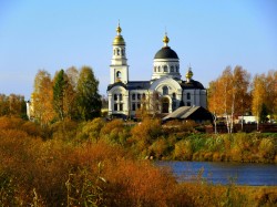 lotos27 
Меркушено 
15 
2024-11-02 13:44:37