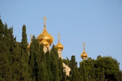 Sheep1389 
Orthodox church of st. Mary Magdalene, 2023 
12 
2024-11-15 11:54:36