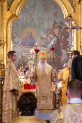 palavos 
Bp Atanazy 
2024-11-16 23:23:52