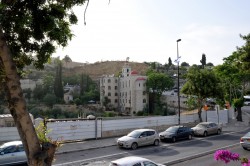 Sheep1389 
Saint Stephen Orthodox church in Jerusalem, May 2023 
2024-11-18 16:52:53