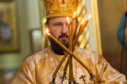 palavos 
Bp Paweł 
2024-11-22 20:47:21