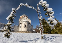 Викентије 
први снег/first snow 
2024-11-23 08:18:28
