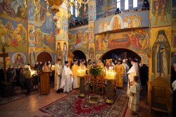 jarek11 
St. John of Shanghai and San Francisco relics in Zwierki Convent 
2024-11-23 19:34:51