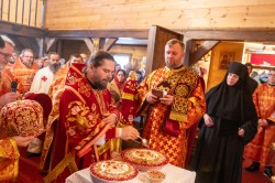 palavos 
Zaleszany 
2024-11-25 19:18:02
