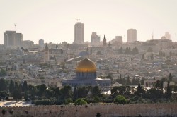Sheep1389 
Jerusalem, May 2023 
15 
2024-11-25 20:18:07