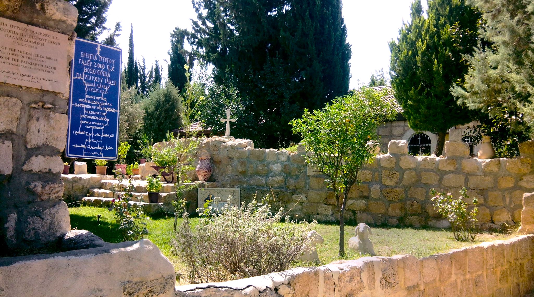 From the Holy Lands: The Shepherds’ Field