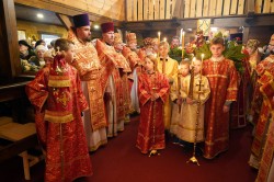 jarek11 
St. Catherine feast in Zaleszany Convent 
2024-12-12 18:52:32