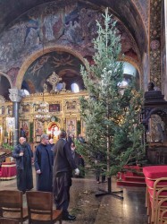 Slobodan. 
 Катедрални храм Света недеља у Софији 
2024-12-21 22:18:11