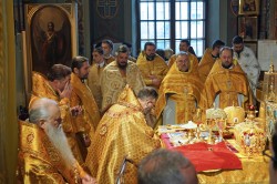 jarek 
St. Nicholas feast in St. Nicholas Cathedral in Białystok  
2024-12-26 12:54:40