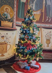 anamariaavram 
Beautiful Christmas tree inside the church 
2024-12-26 14:37:29