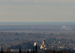 levangabechava 
ზუგდიდი. საქართველო 
2025-01-24 16:49:14