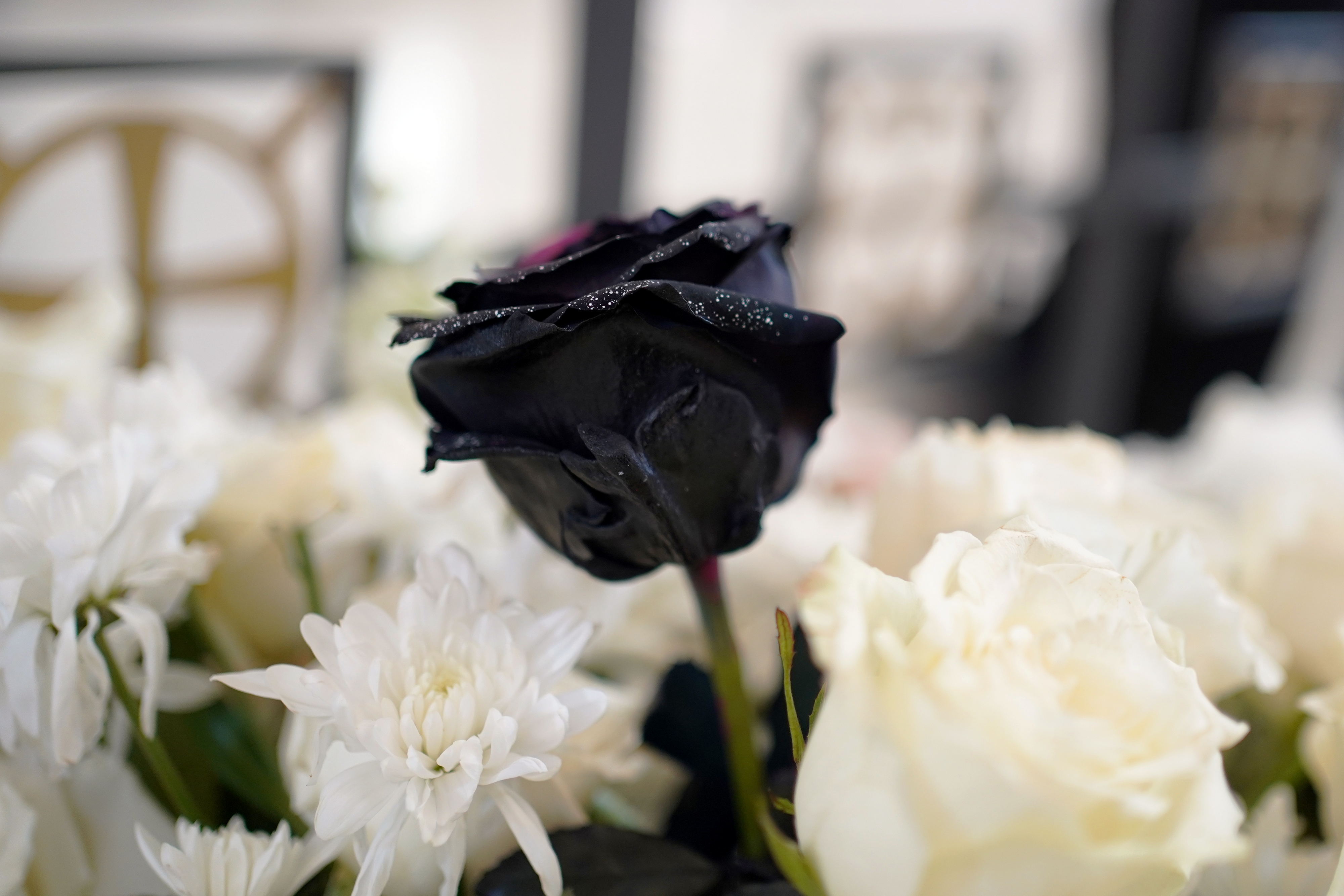 Archbishop Anastasios of Tirana, Durres and All Albania funeral
