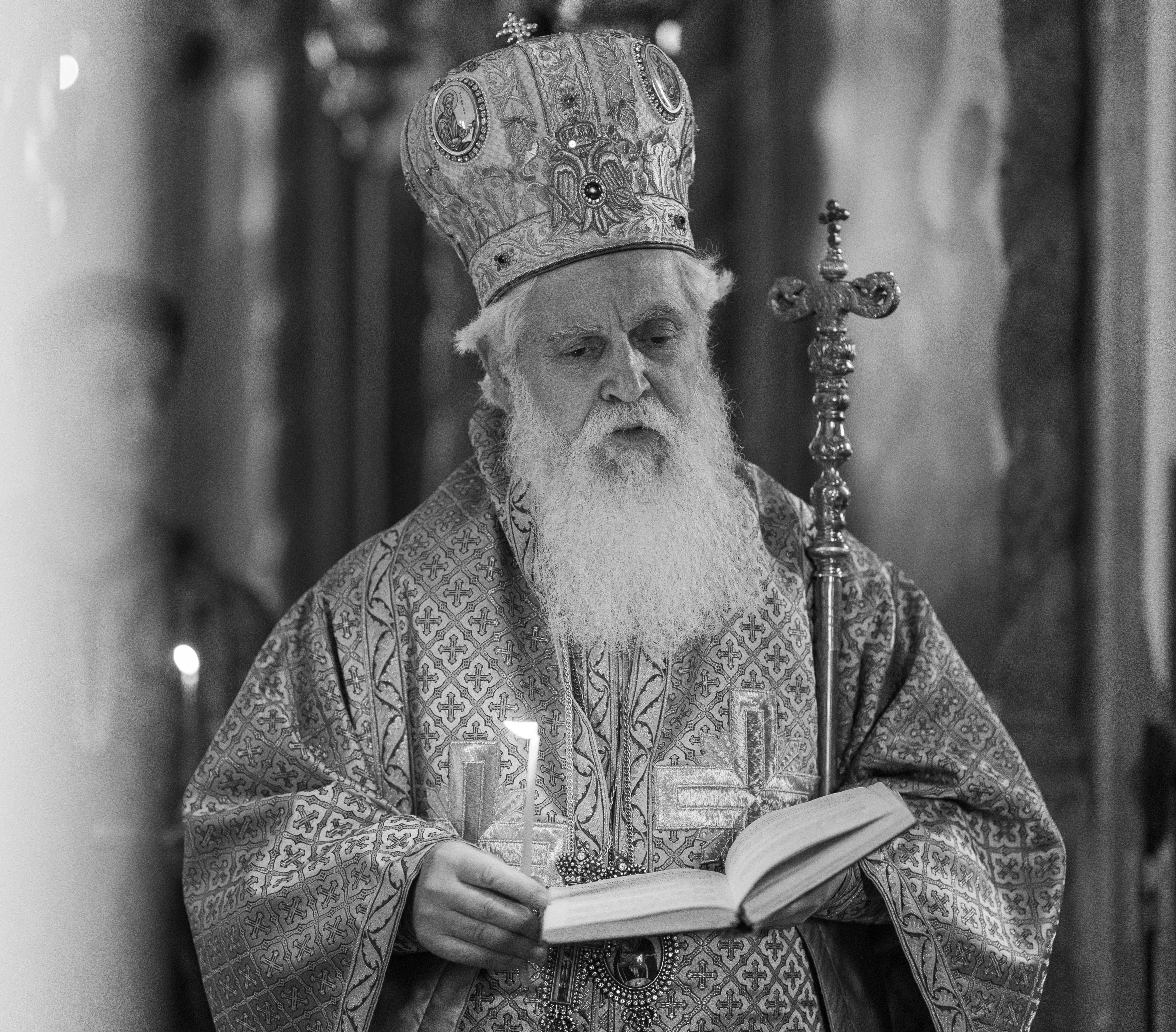 Nicholas Metropolitan of Apollonia & Fier