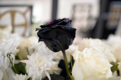 jarek1 
Archbishop Anastasios of Tirana, Durres and All Albania funeral 
2025-02-07 08:25:11