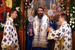 felix 
Bishop Arsenije - Eparchy of Niš 
2025-02-15 13:34:45