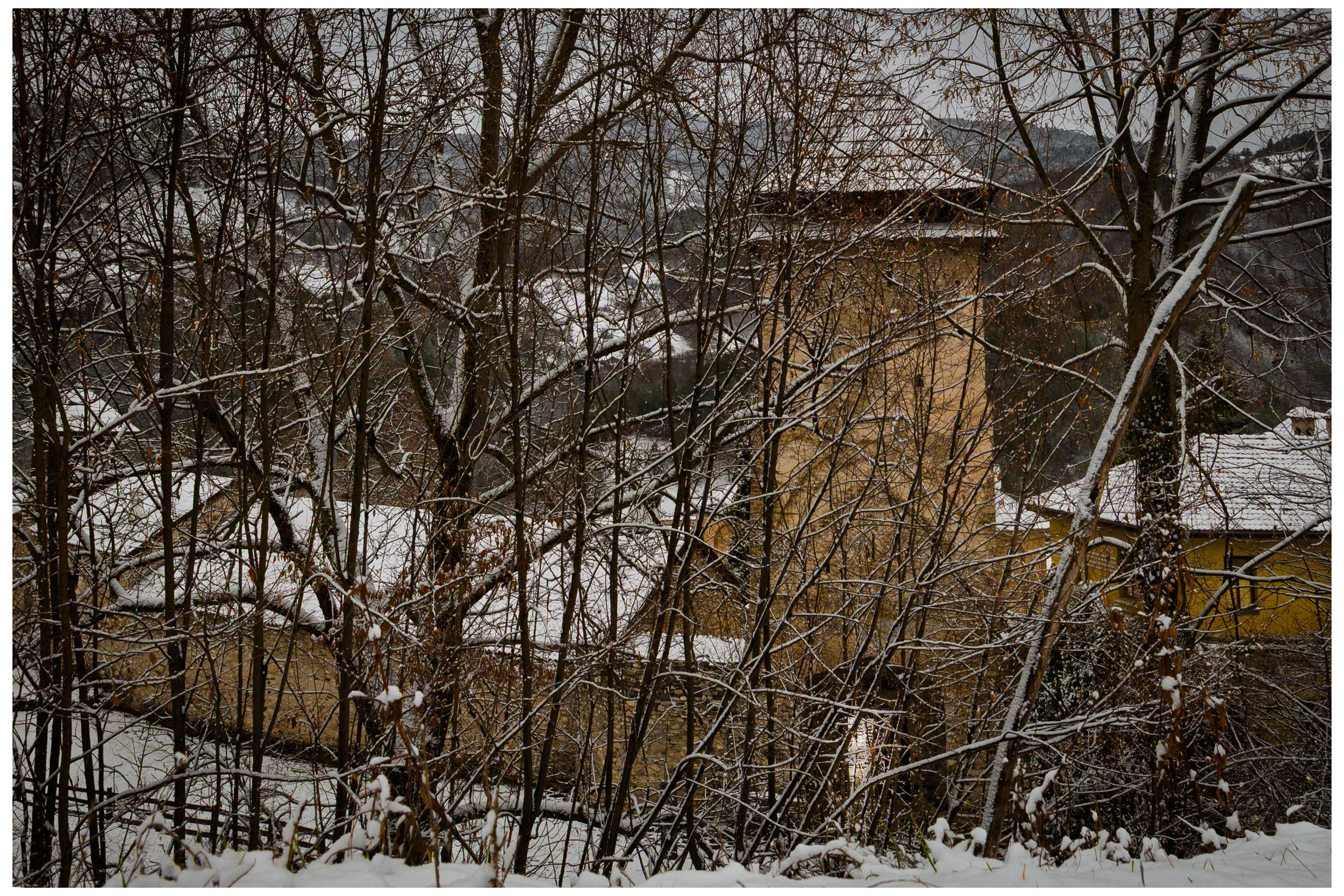 звоник/bell tower