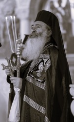 Toni_p96 
Metropolitan Demetrius of Cephalonia (Greece) 
2025-03-02 19:24:57