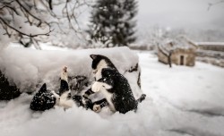 Викентије 
дивљаци/savages 
2025-03-08 08:58:35