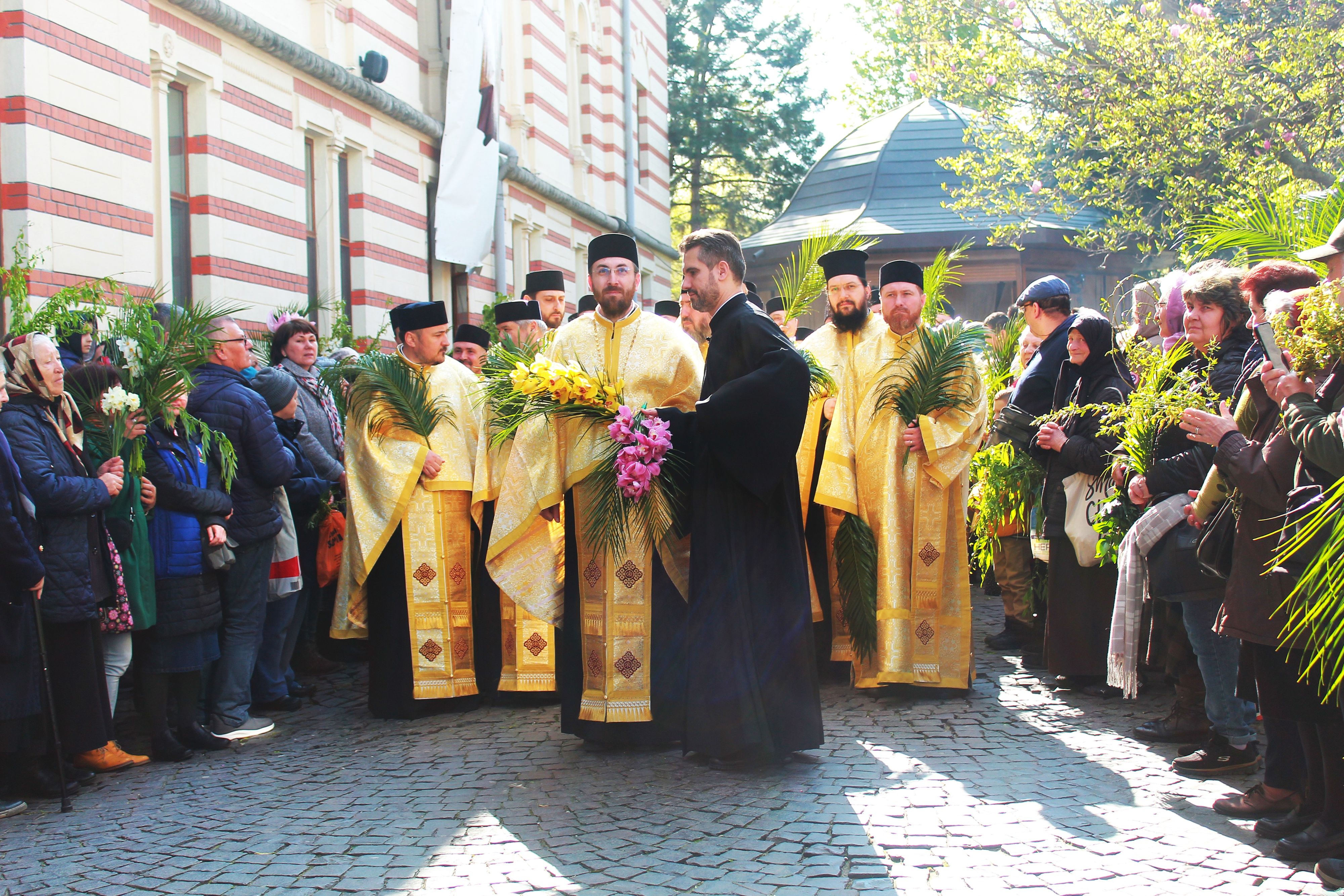 Palm Pilgrimage in Bucharest