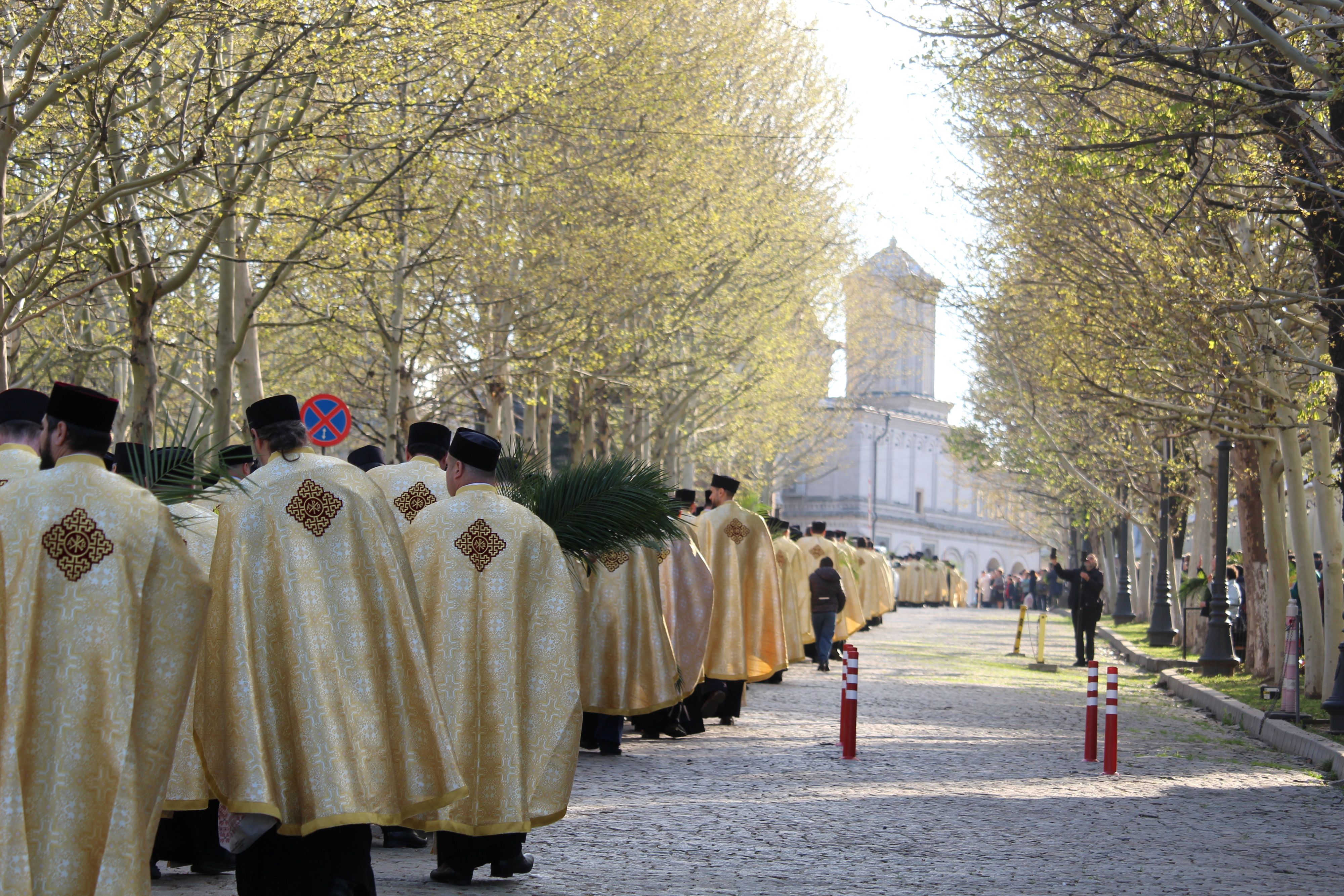 Palm Pilgrimage in Bucharest