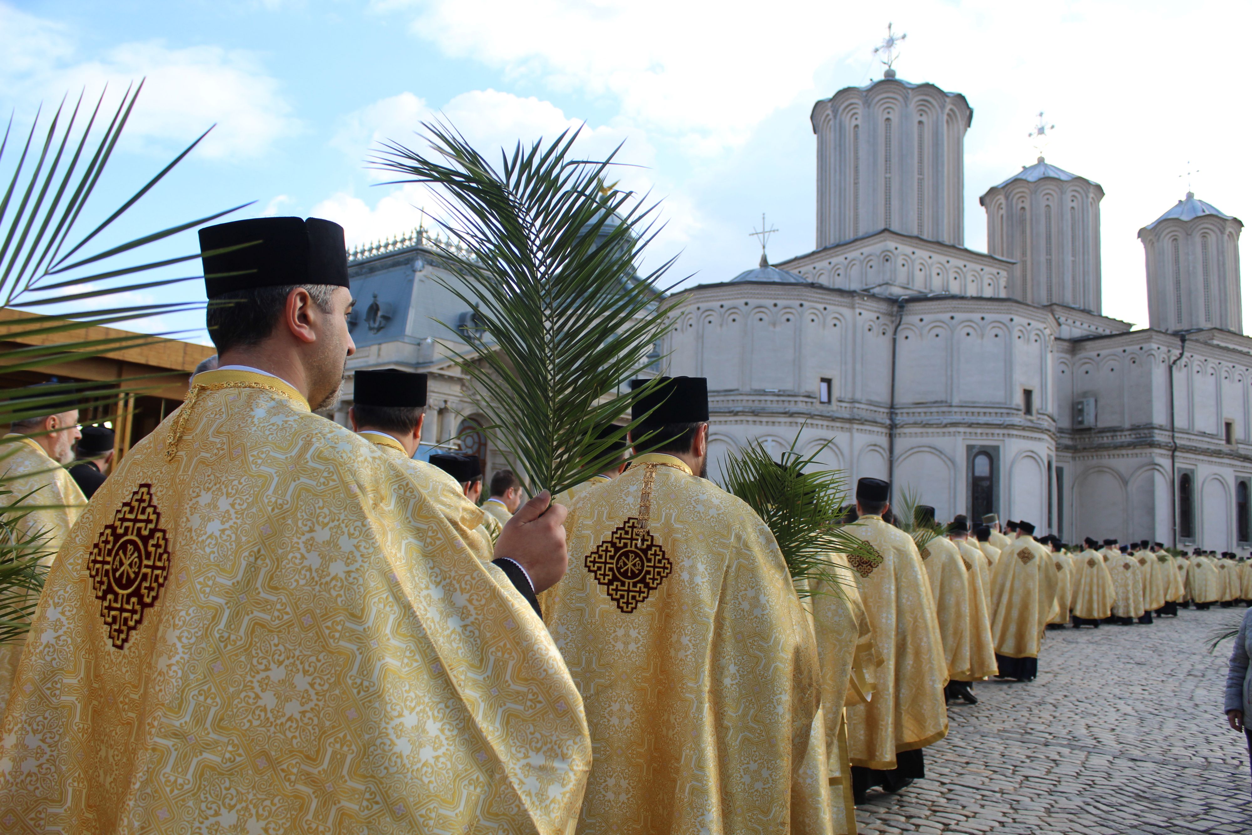 Palm Pilgrimage in Bucharest