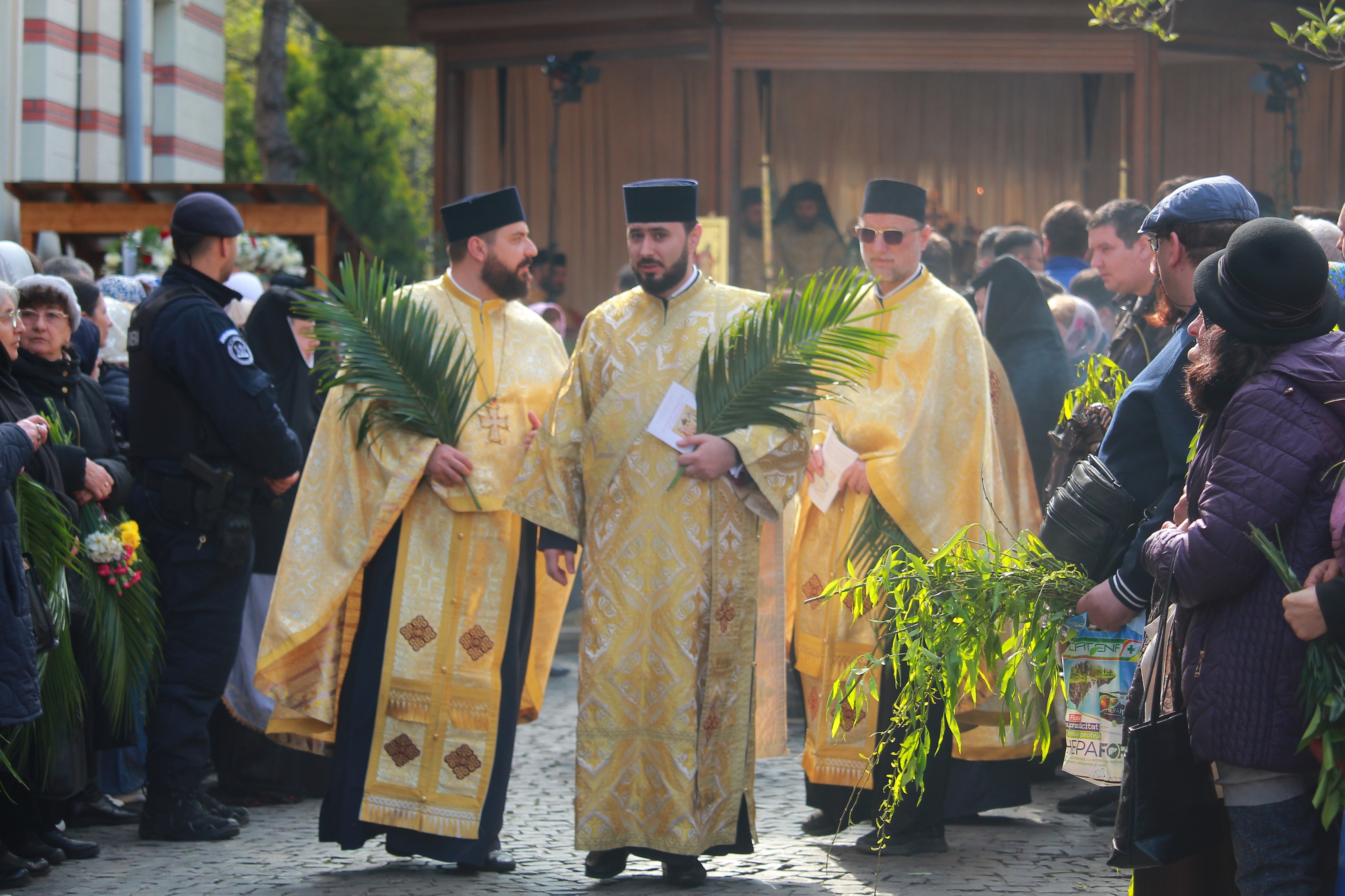 Palm Pilgrimage Bucharest 