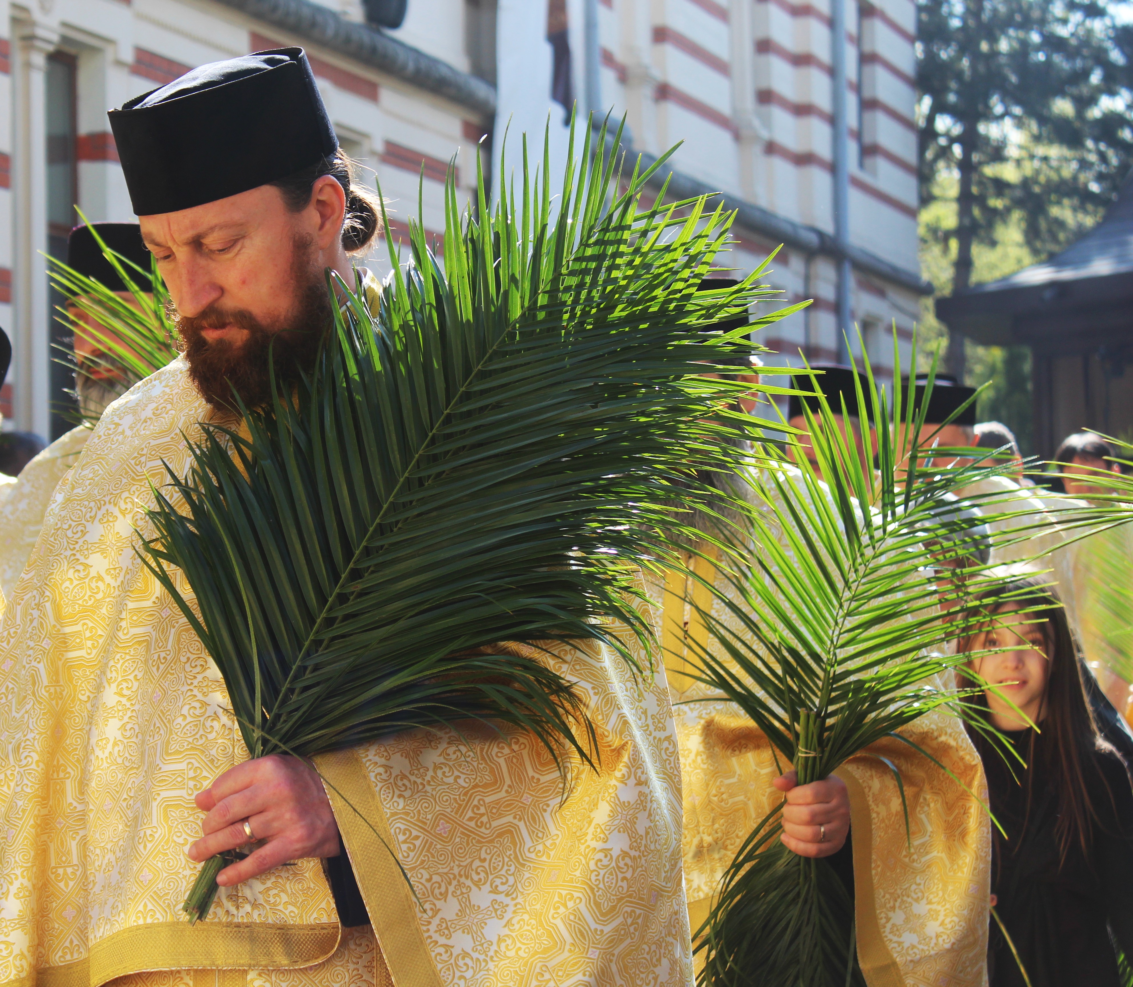 Palm Pilgrimage Bucharest 