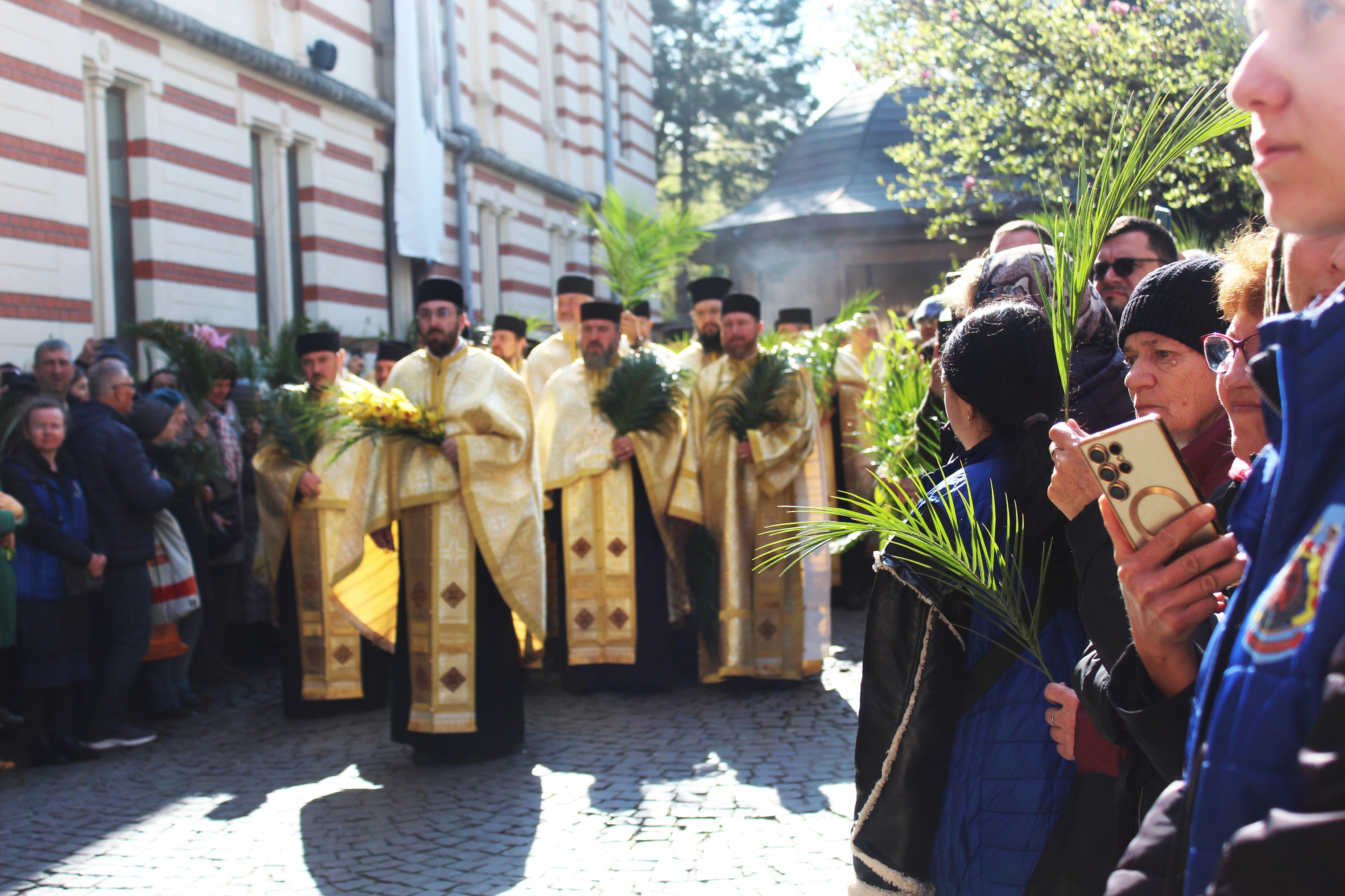 Palm Pilgrimage Bucharest 
