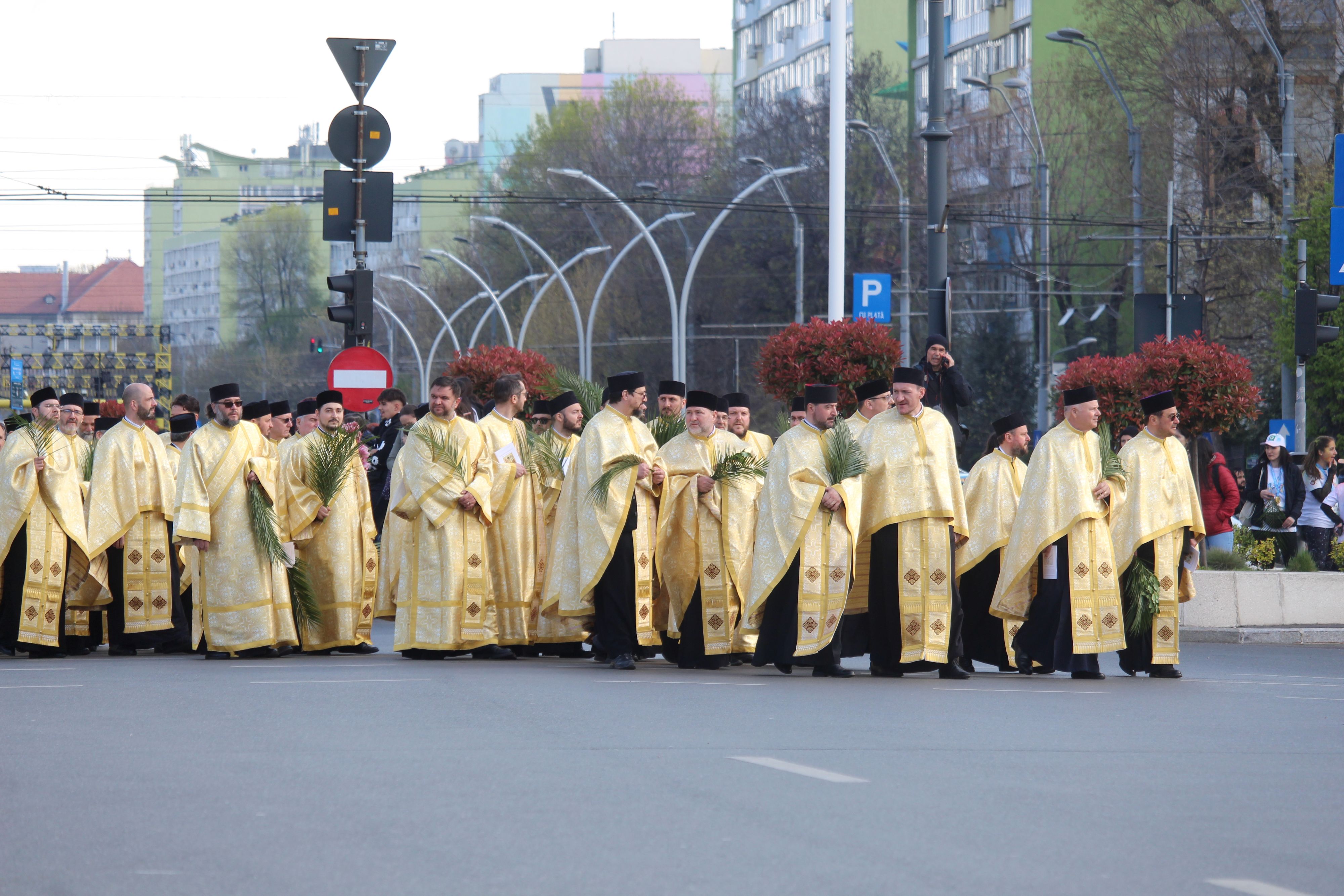 Palm Pilgrimage Bucharest 2025