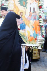 anamariaavram 
Palm Pilgrimage in Bucharest 
2025-04-12 20:58:17