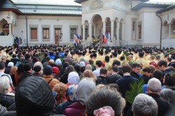 anamariaavram 
Palm Pilgrimage Bucharest  
2025-04-13 21:59:10