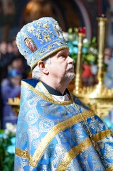 jarek