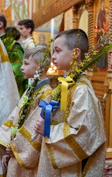 jarek1 
Palm Sunday in Zwierki Convent 
2025-04-23 20:44:29