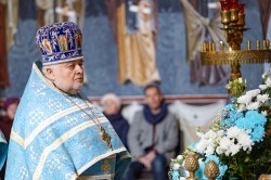 jarek