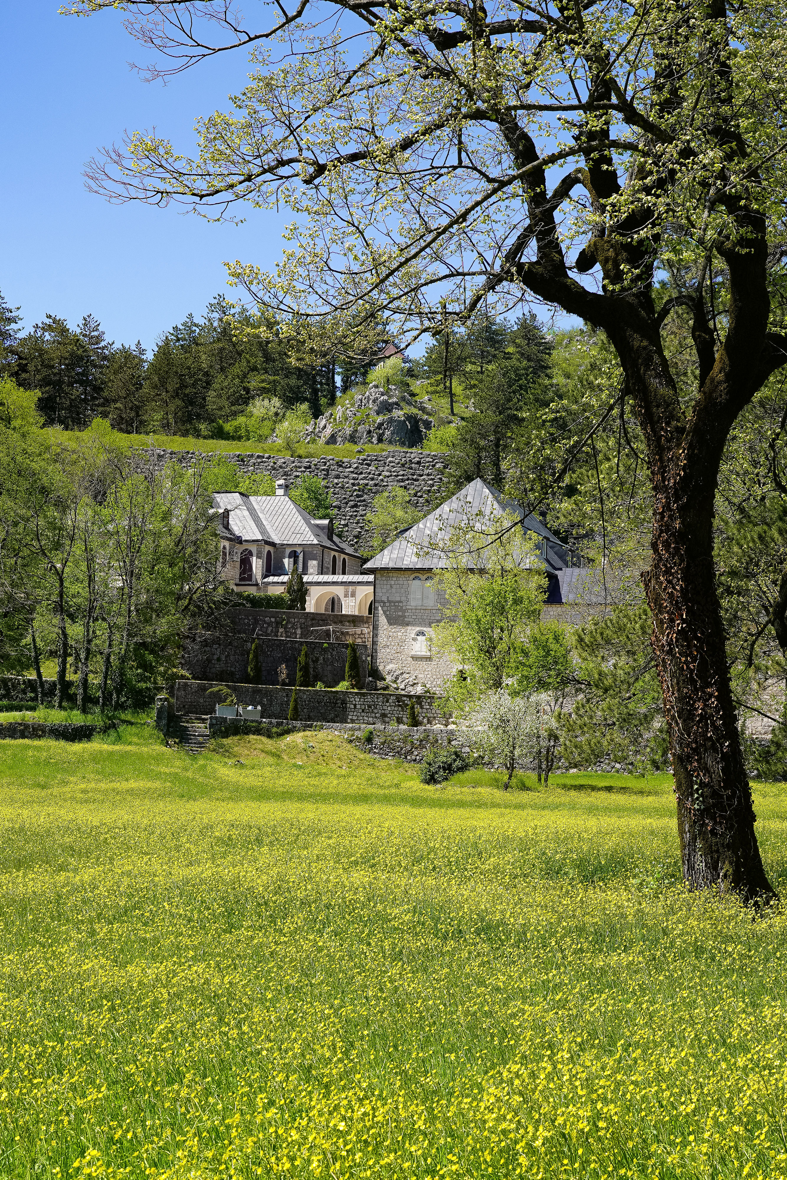 Cetinje monastery