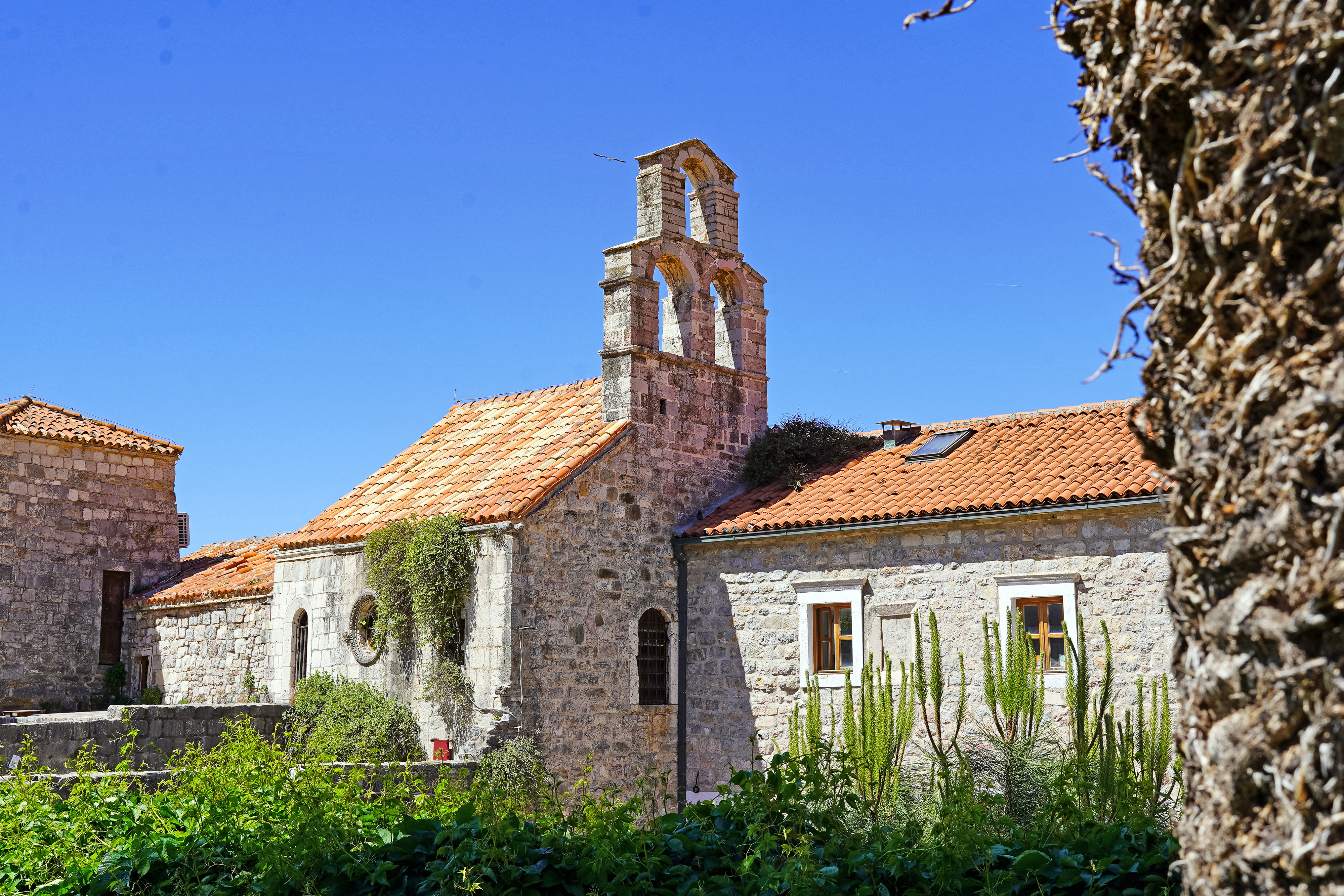 The Mother of God church in Budva