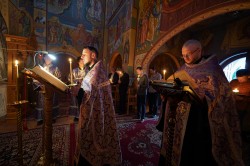 jarek 
Passion Friday in Zwierki Convent, 2025  
2025-05-11 10:19:12