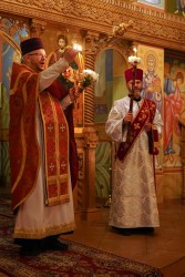 jarek 
Easter night in Zwierki Convent, 2025 
2025-05-13 08:41:02