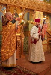jarek 
Easter night in Zwierki Convent, 2025 
2025-05-13 08:41:16