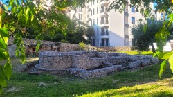 jarek1