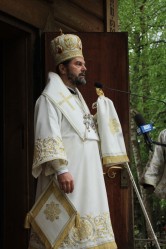Pryslurznik12
