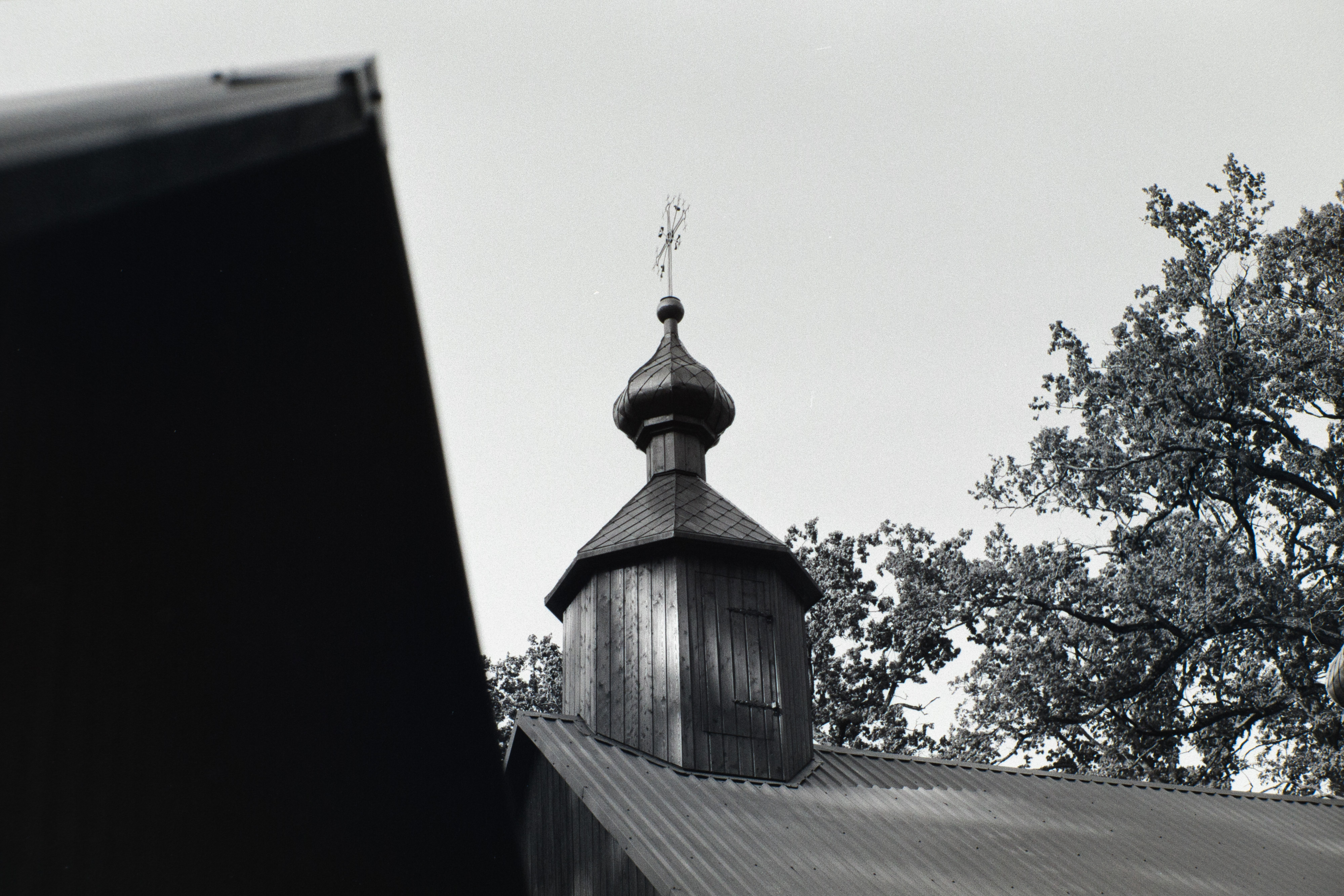 Krynoczka (I)