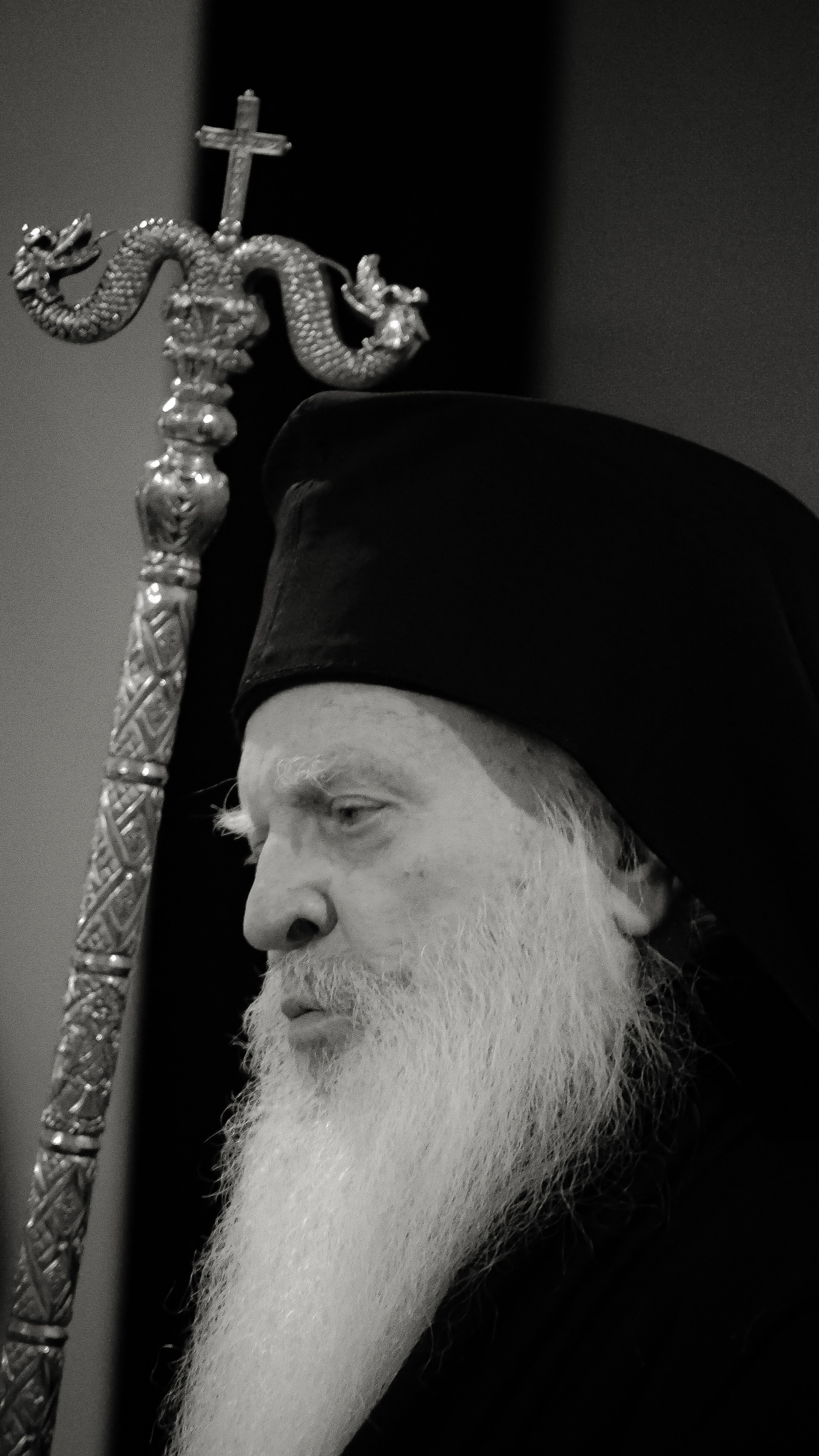 His Grace, Metropolitan of Gjirokastra, Dhimitri (2006-2025)