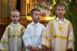 jarek