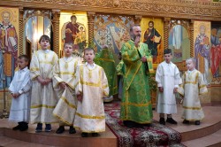 jarek