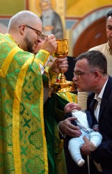 jarek1
