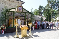 jarek11