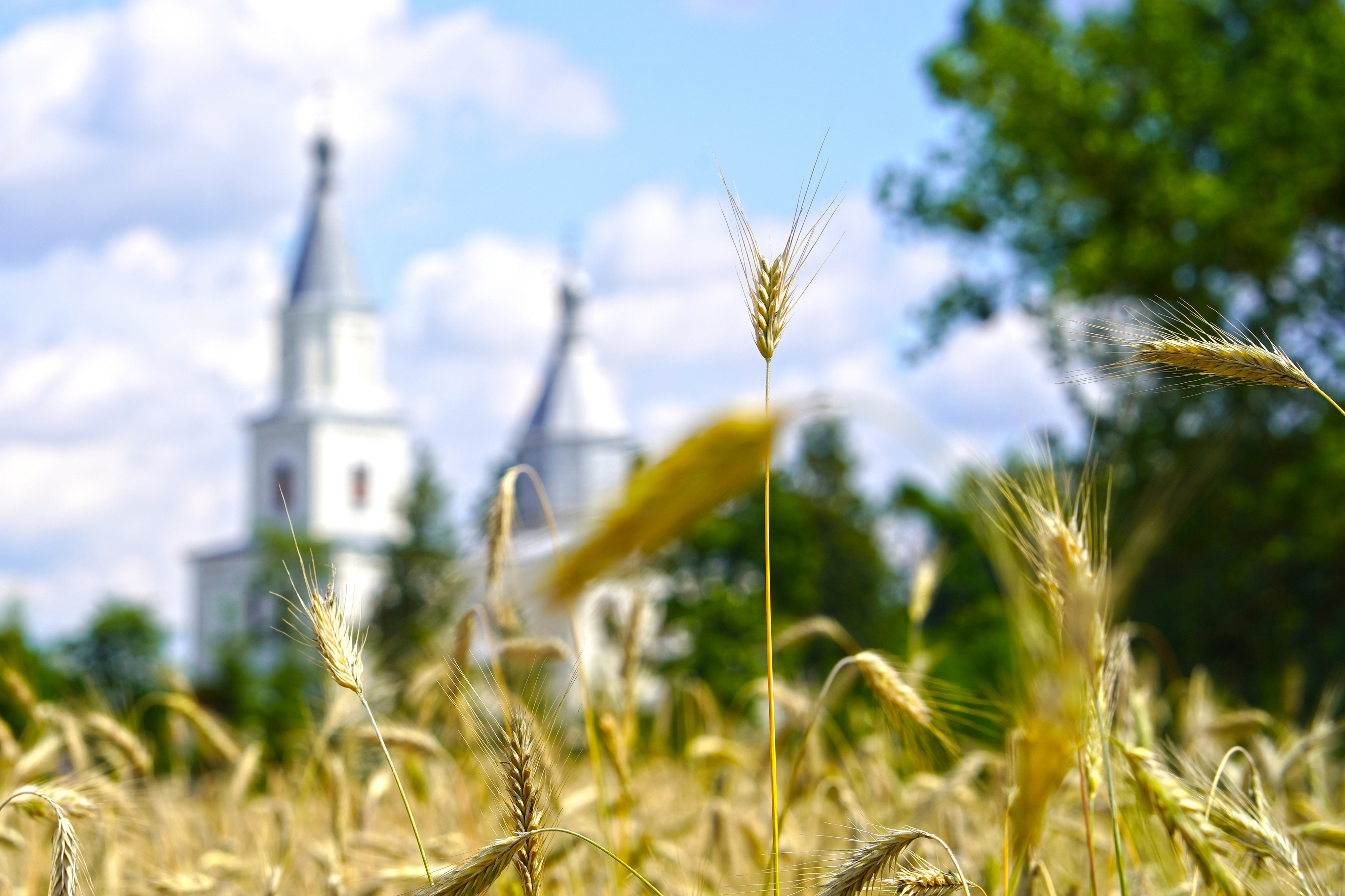 The Orthodox church in Kośna village